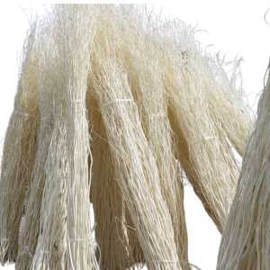 Long Willow Branches | Home Decor 80 CM Long Willow Branches | Home Decor 80 CM